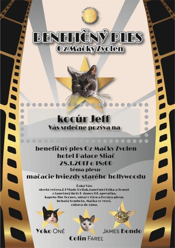 events/2016/12/newid16001/images/plagat mala verzia_c.jpg